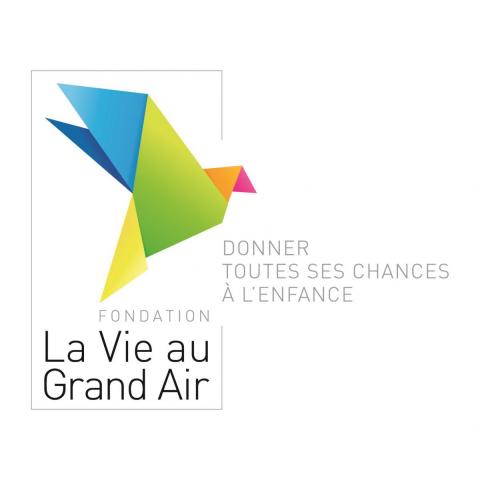 Logo de La Vie Au Grand Air